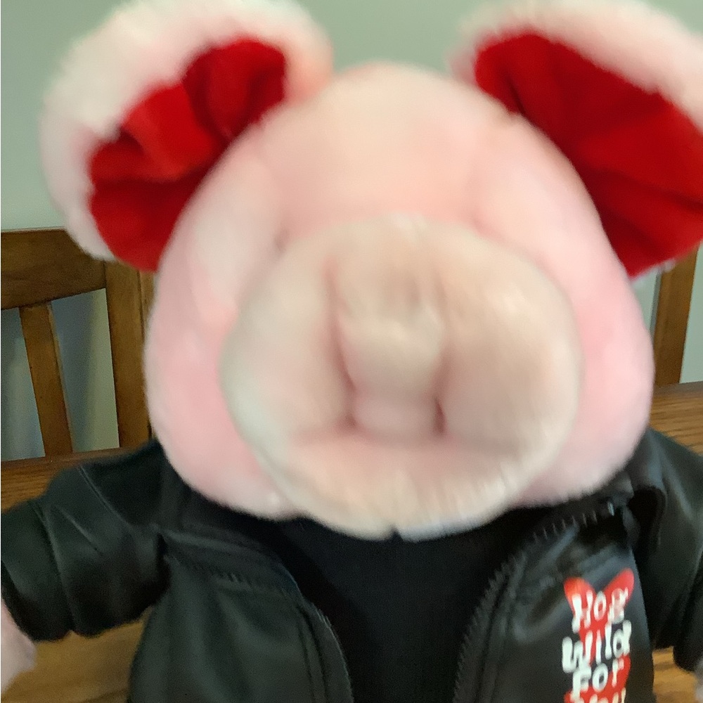 Dan Dee 22” Plush Hog Wild For You Plush - Picture 2 of 9